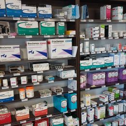 pharmacie vétérinaire à saint-etienne clinique du gros chêne